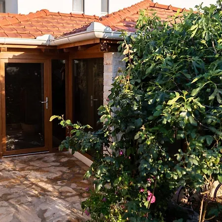 Sun Gardens 펜션 *