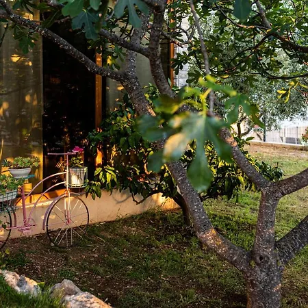 Sun Gardens 펜션 시베니크