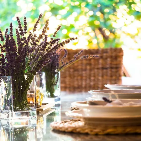 Sun Gardens Сasa de vacaciones